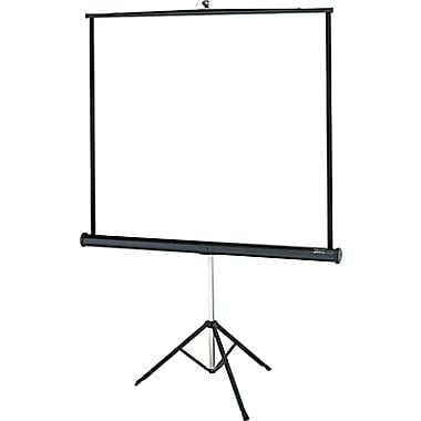 Projection Screen (50” x 6’ tripod)