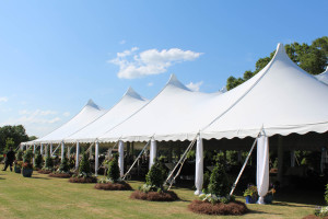 Tents & Canopies
